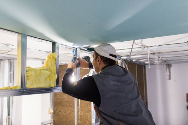 Best Types of Insulation in Haven, KS