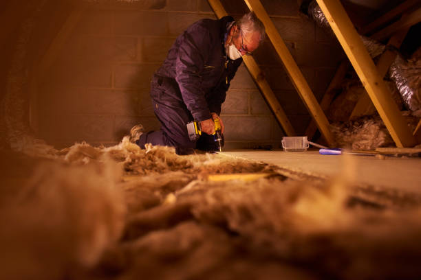 Best Insulation Maintenance and Repair in Haven, KS